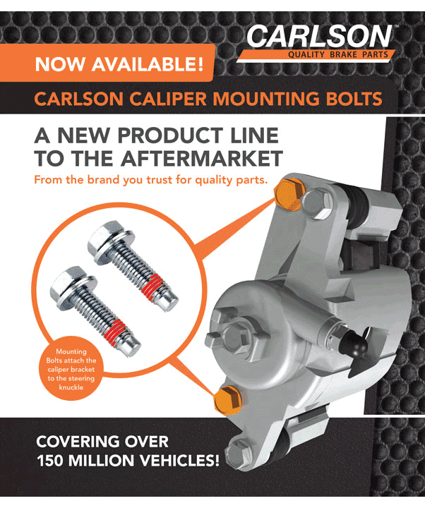 Caliper Mounting Bolts